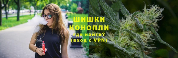 дурь Алзамай
