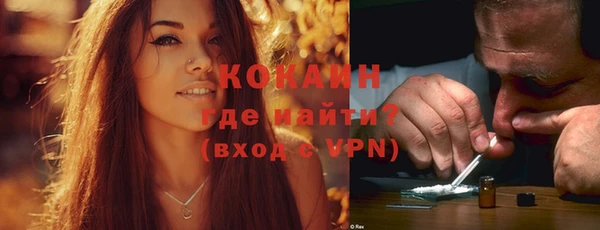 твердый Алексеевка