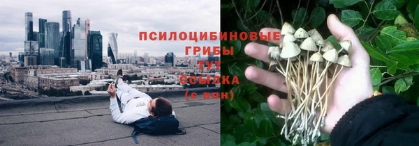 твердый Алексеевка